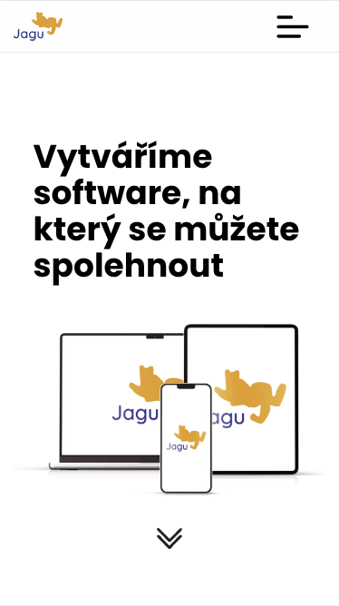 Picture of Jagu website